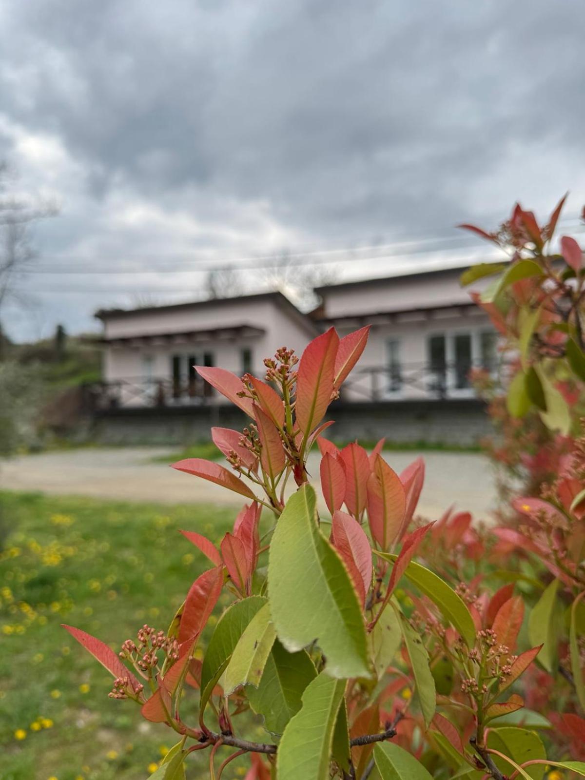 Bora Kuce Na Reci Villa Beograd Eksteriør bilde